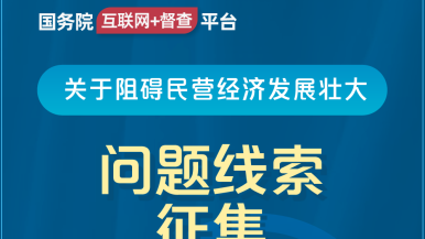 驲屄影视-百度国务院“互联网+督查”平台公开征集阻碍民营经济发展壮大问题线索